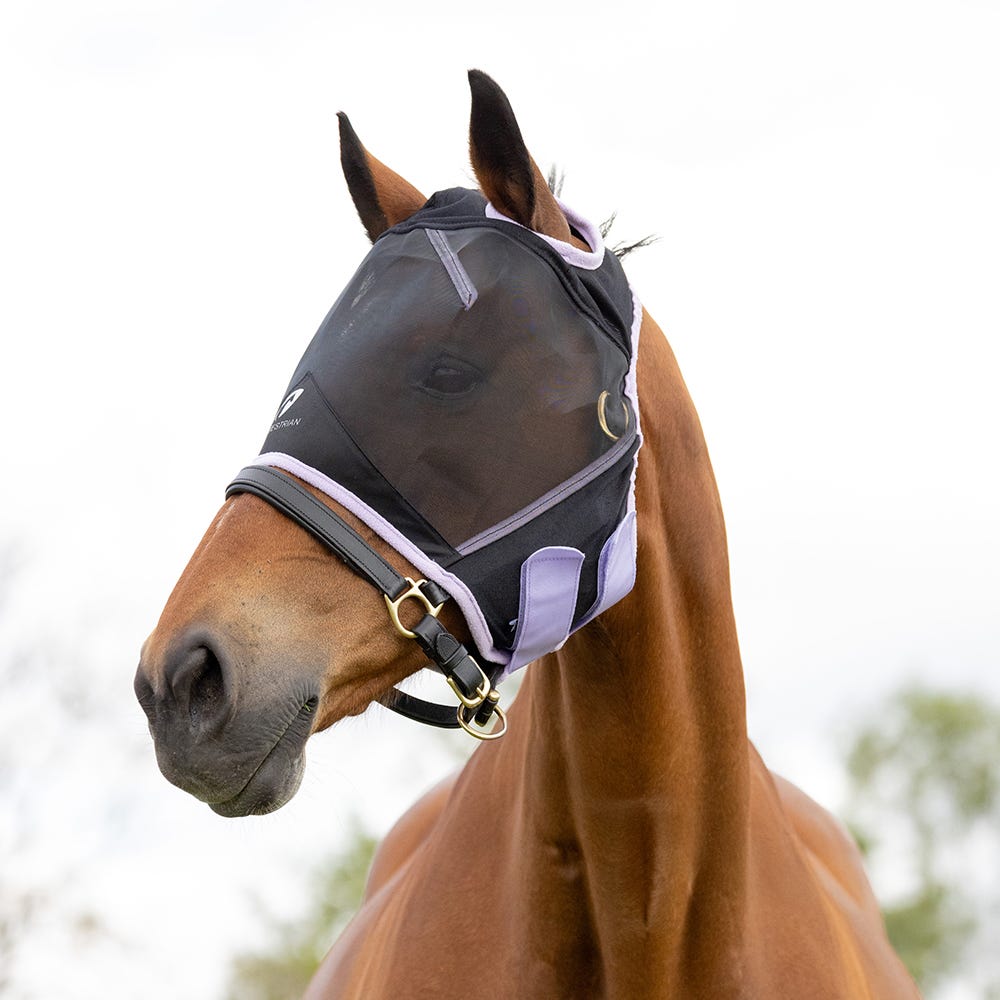 Hy Equestrian Mesh Half Mask without Ears image 6